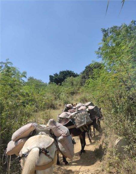 安徽馬幫運(yùn)輸隊(duì)